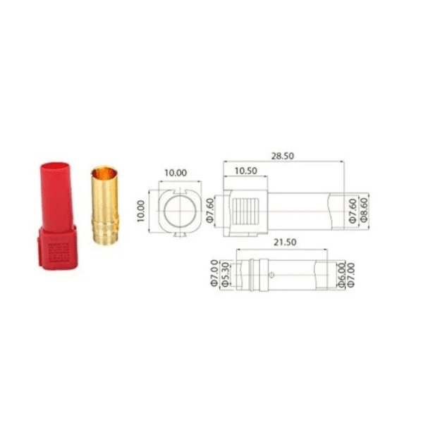 Image showcasing picture of Amass XT150 Gold Plated Female Connector.