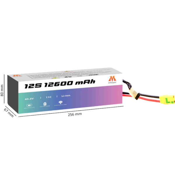 this image refers to mPower 12S 12600mAh Lithium-Ion Battery