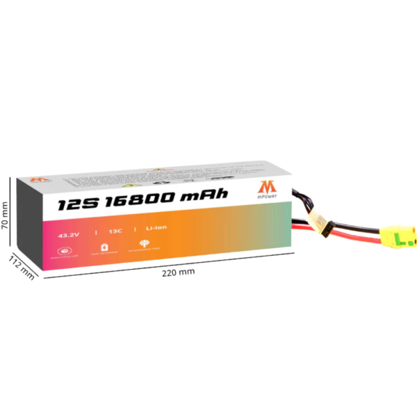 this image refers to mPower 12S 16800mAh 13C Lithium-Ion