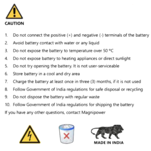 mPower 12S 10000mAh Lithium-Ion Battery
