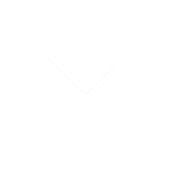 Skip Icon