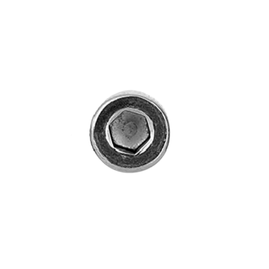 picture showcasing image of SS M2.5x6L Allen Head Screws (10pcs)